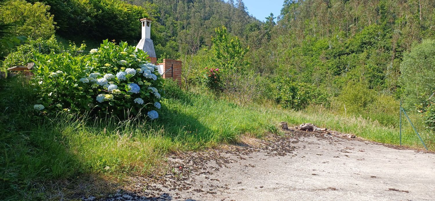 Casas o chalets-Venta-Colunga-1751780-Foto-61