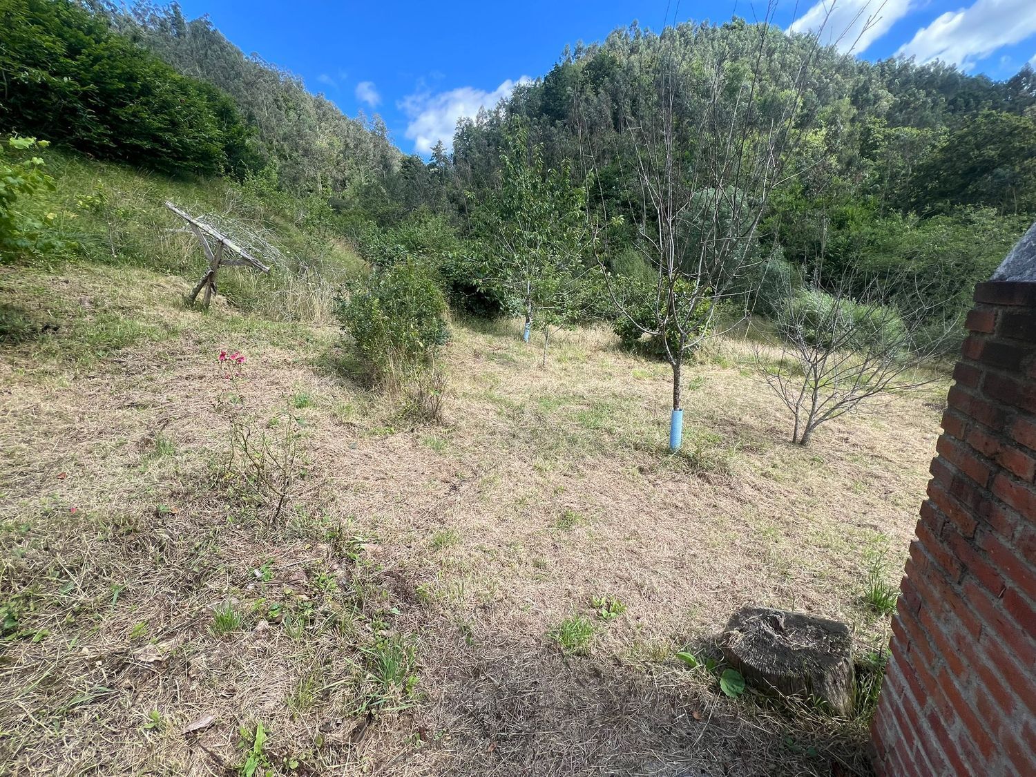 Casas o chalets-Venta-Colunga-1751780-Foto-75