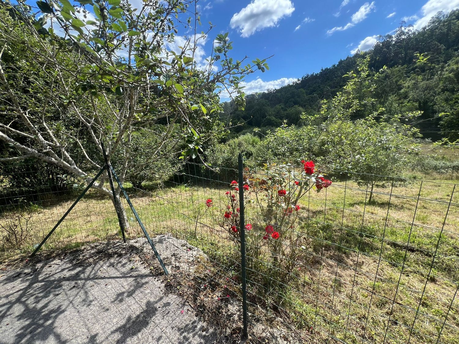 Casas o chalets-Venta-Colunga-1751780-Foto-84