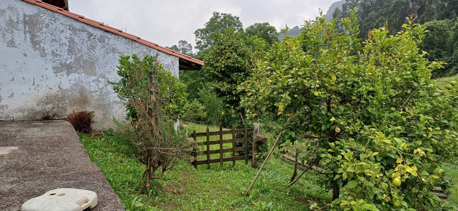 Fincas y solares-Venta-Las Tres Villas-1754058-Foto-2