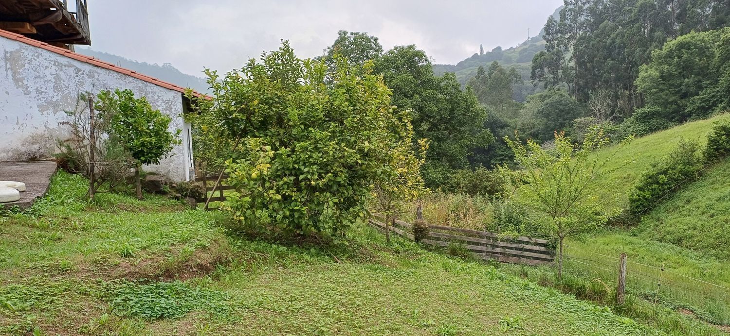 Fincas y solares-Venta-Las Tres Villas-1754058-Foto-15