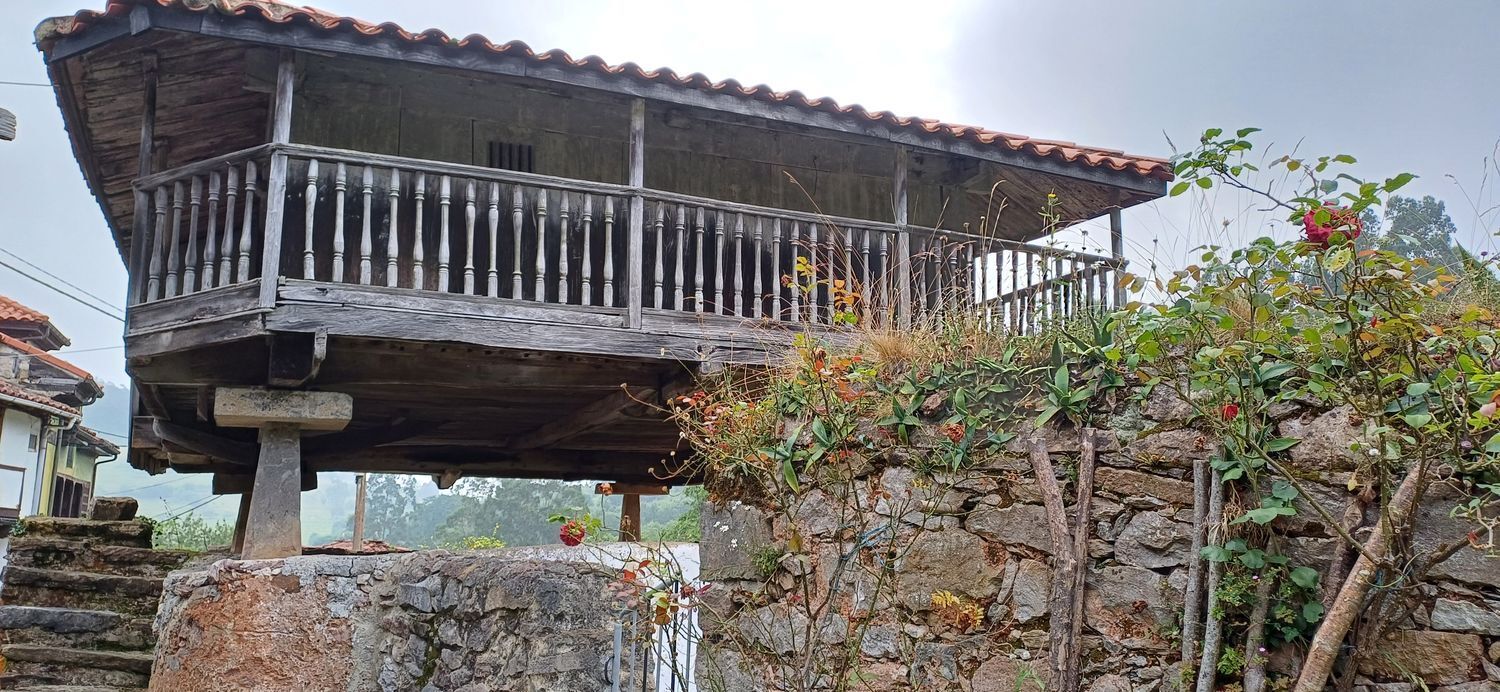 Fincas y solares-Venta-Las Tres Villas-1754058-Foto-14