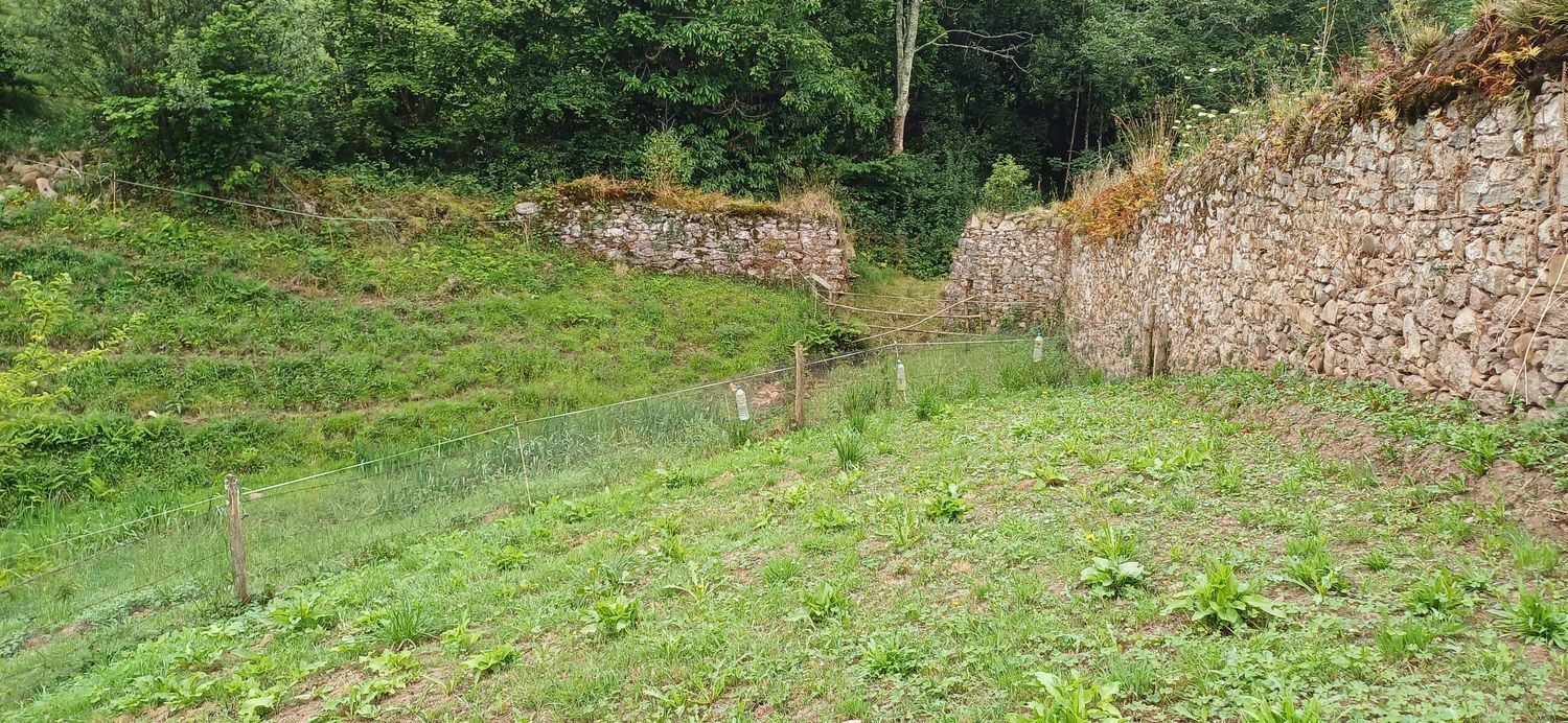 Fincas y solares-Venta-Las Tres Villas-1754058-Foto-17