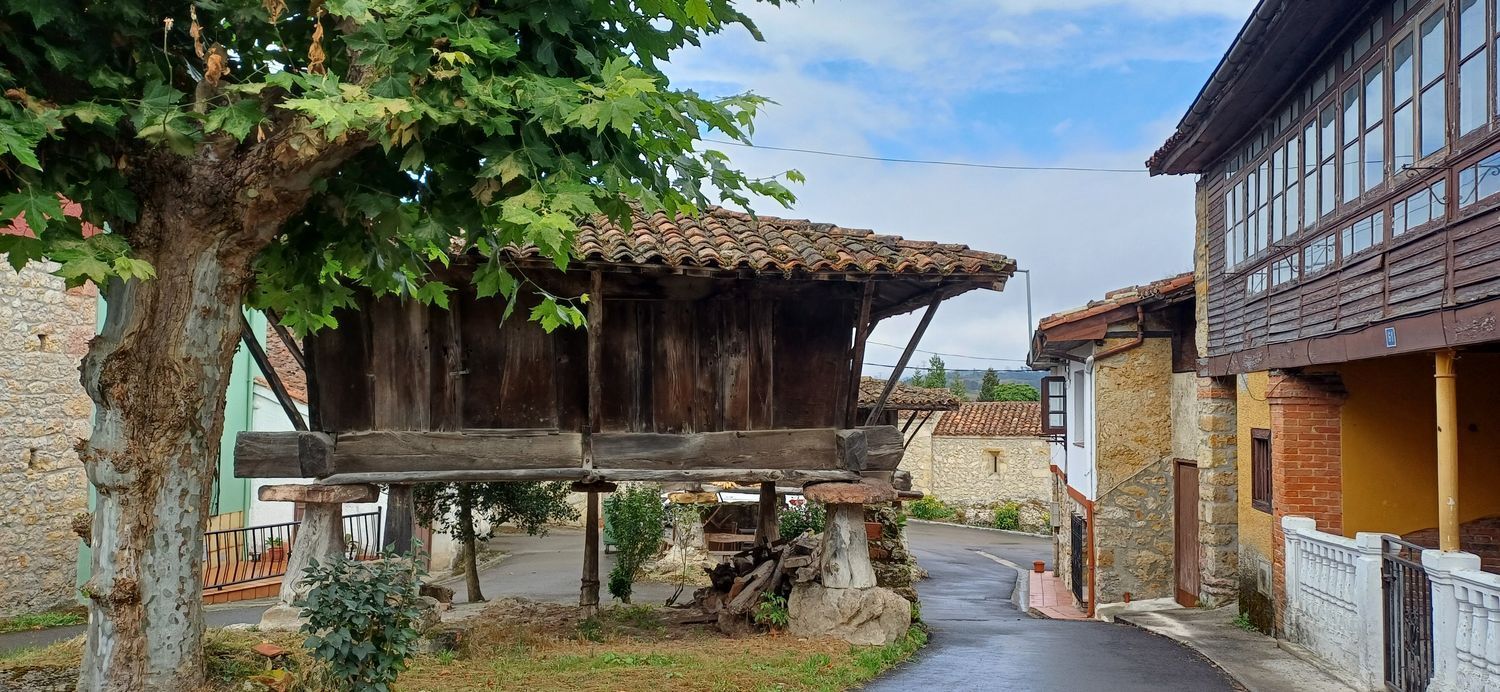 Casas o chalets-Venta-Las Navas del MarquÃ©s-1834040-Foto-12