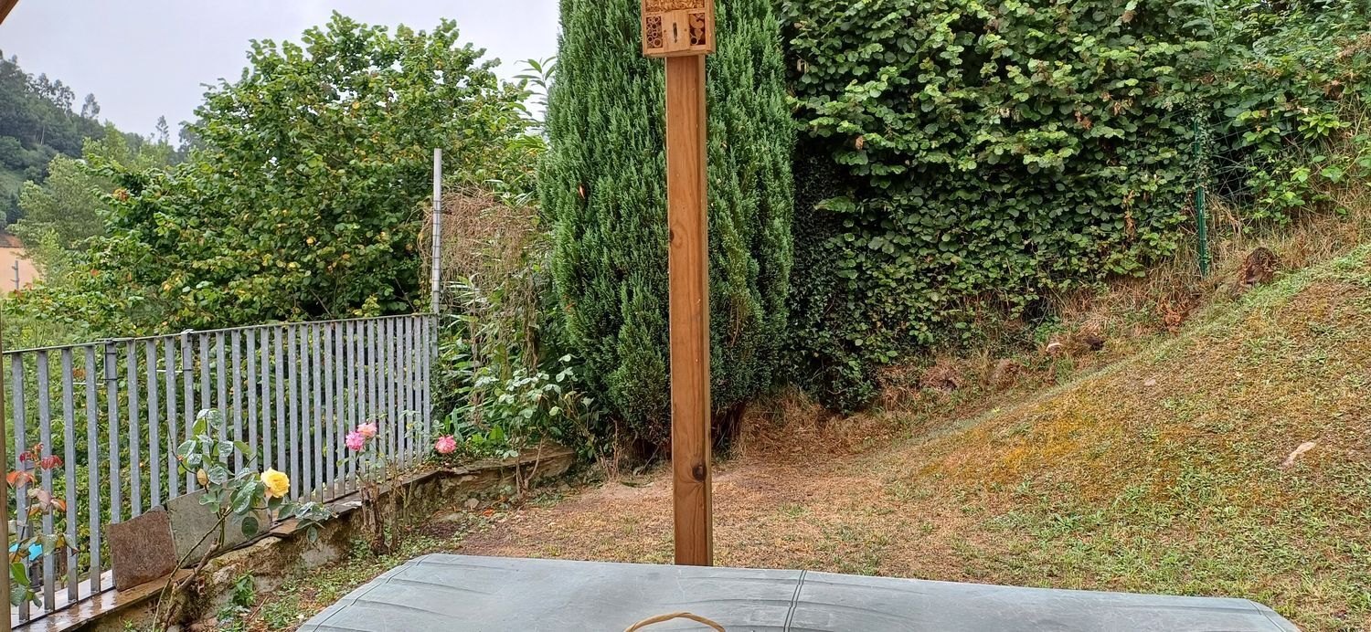 Casas o chalets-Venta-San MartÃ­n del Rey Aurelio-1768417-Foto-59