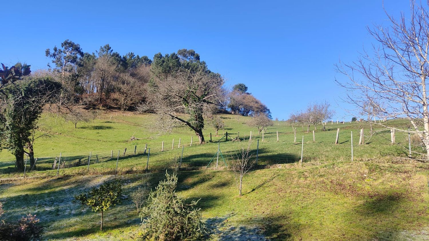 Casas o chalets-Venta-Siero-2032850-Foto-66