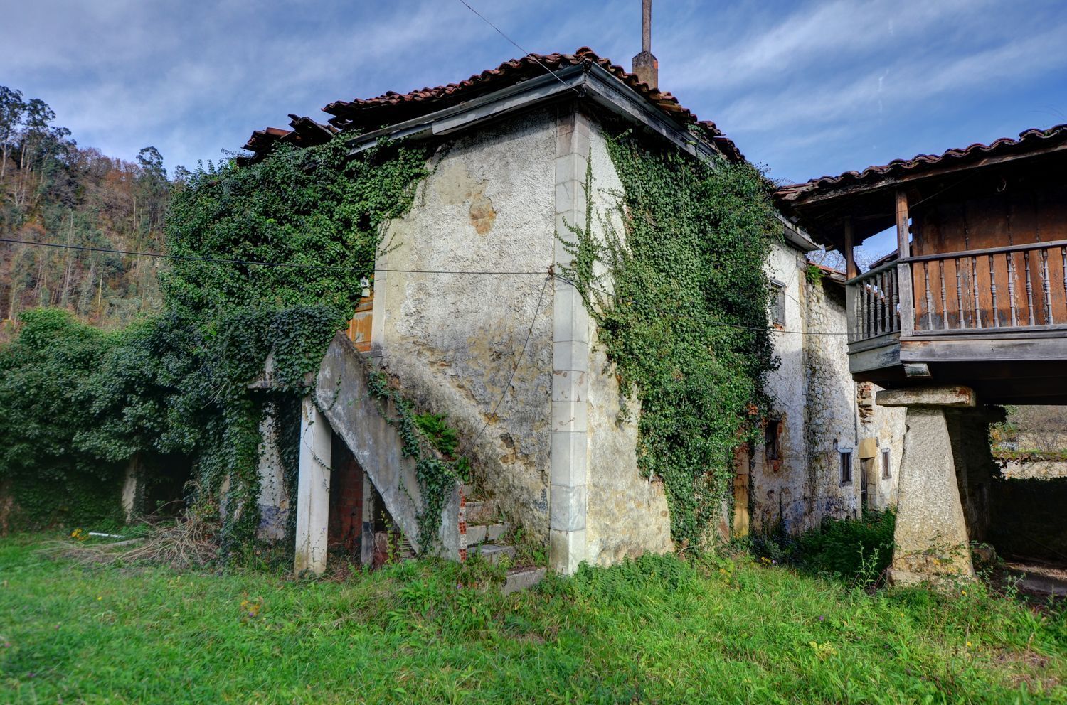 Casas o chalets-Venta-PiloÃ±a-2032742-Foto-5