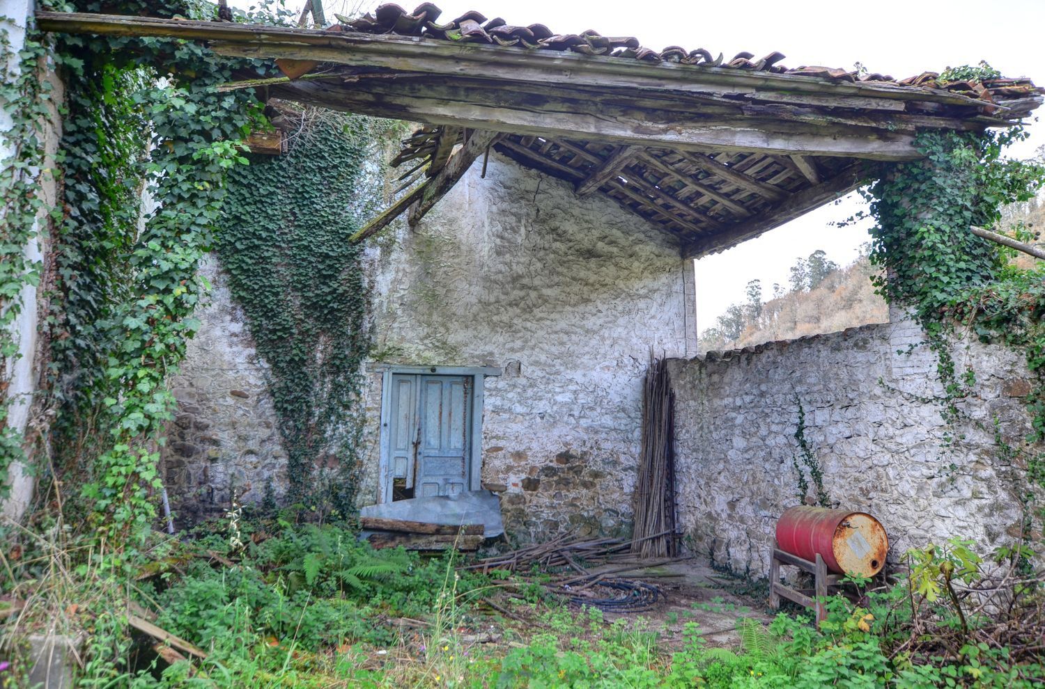 Casas o chalets-Venta-PiloÃ±a-2032742-Foto-8