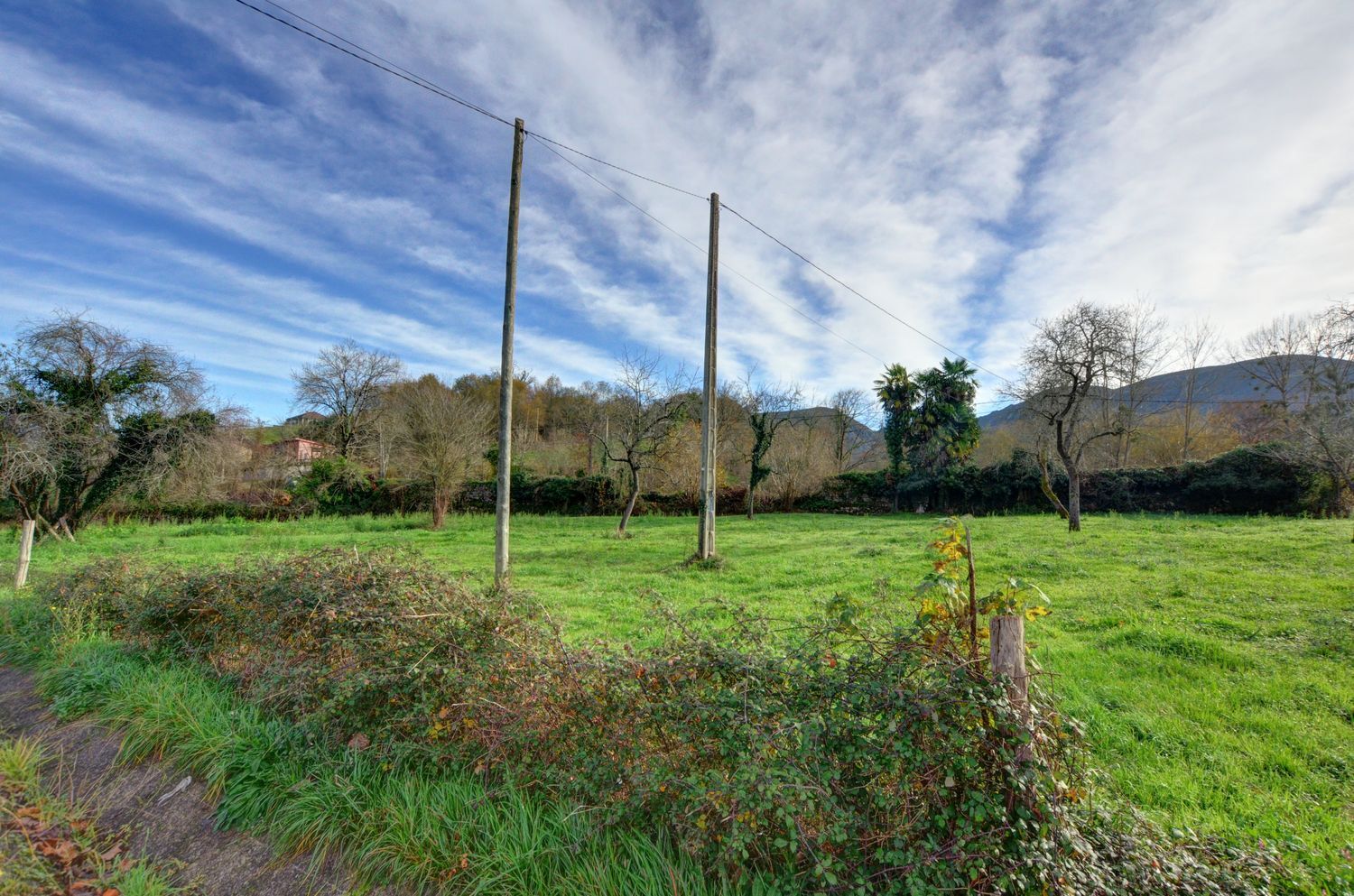 Casas o chalets-Venta-PiloÃ±a-2032742-Foto-30