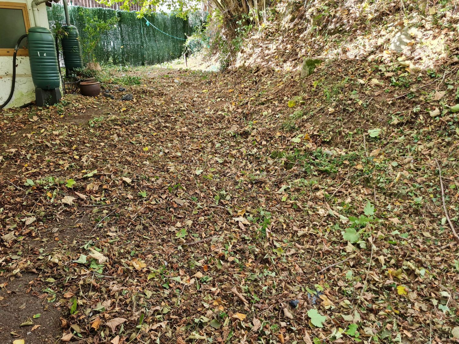 Casas o chalets-Venta-Bimenes-743741-Foto-4