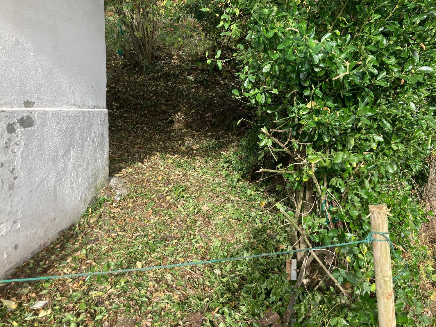 Casas o chalets-Venta-Bimenes-743741-Foto-16