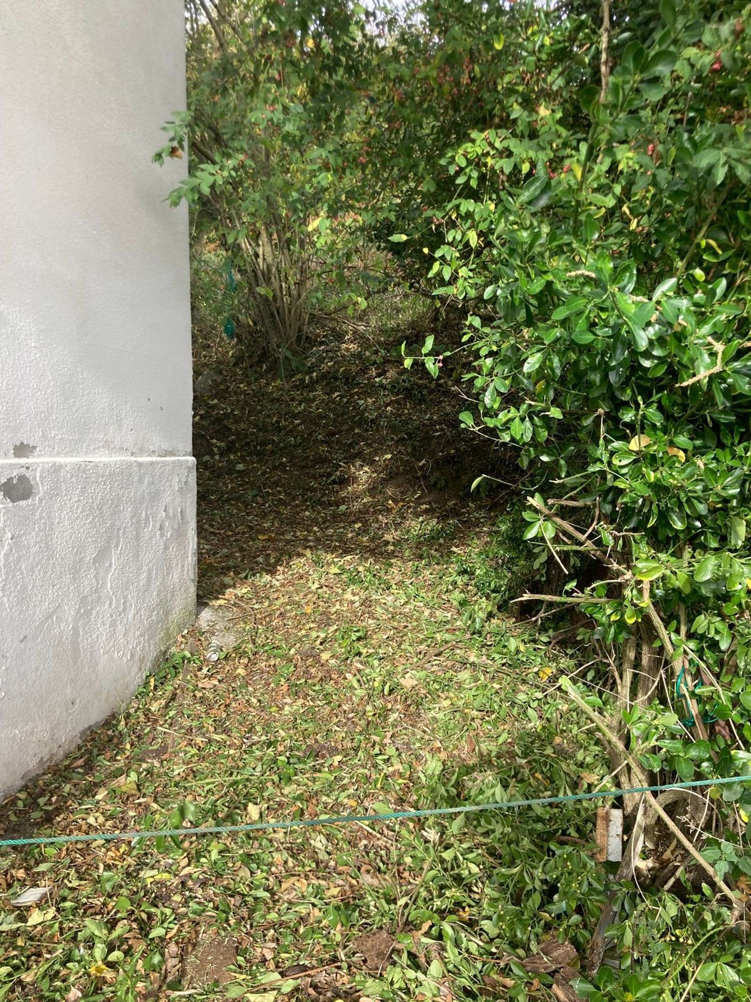 Casas o chalets-Venta-Bimenes-743741-Foto-29