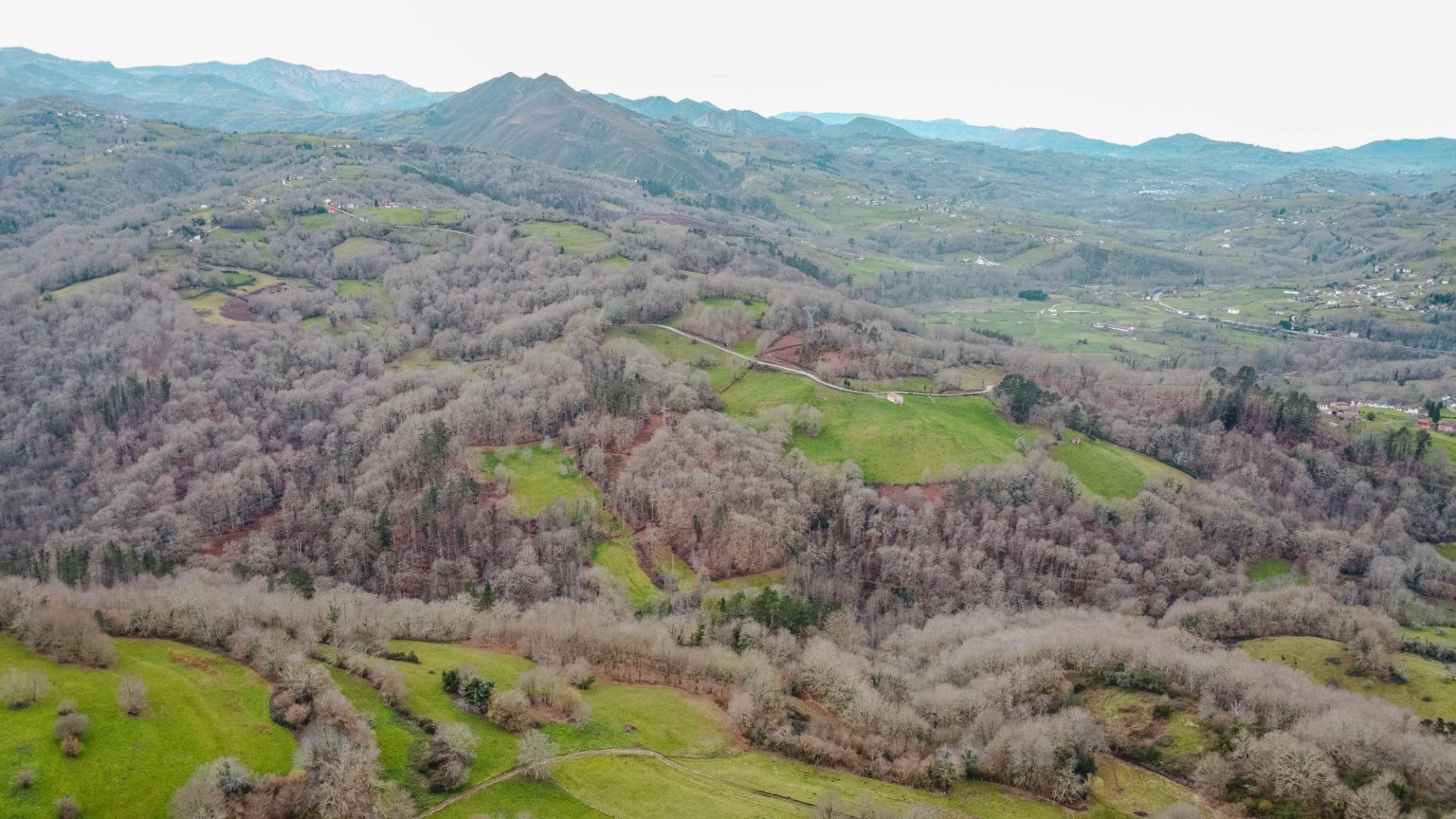 Fincas y solares-Venta-Parres-2152225-Foto-5