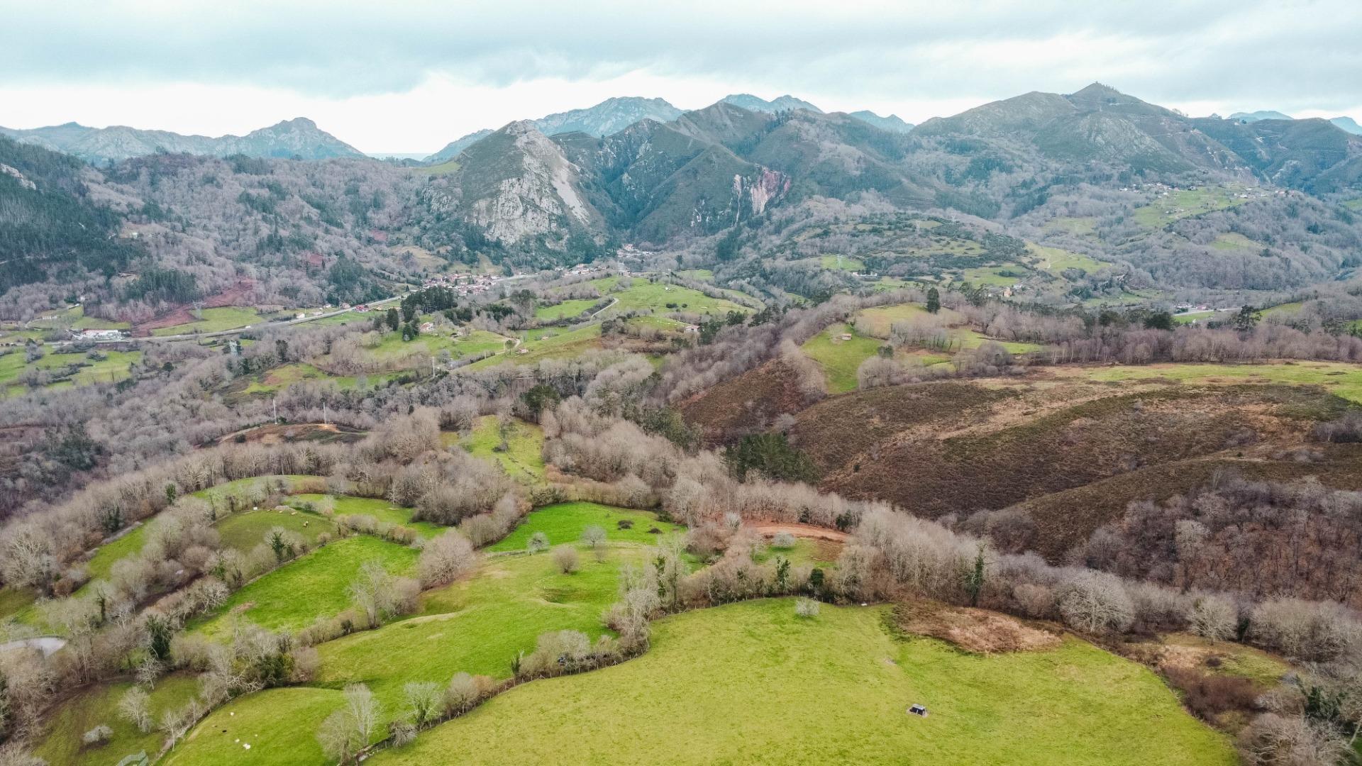 Fincas y solares-Venta-Parres-2152225-Foto-10