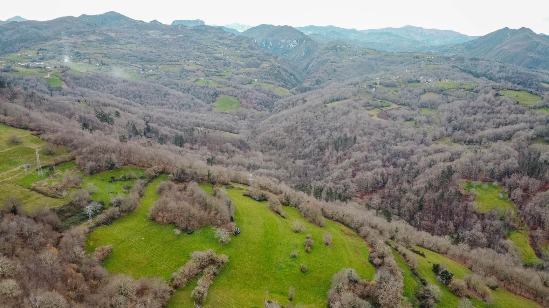 Fincas y solares-Venta-Parres-2152225-Foto-6