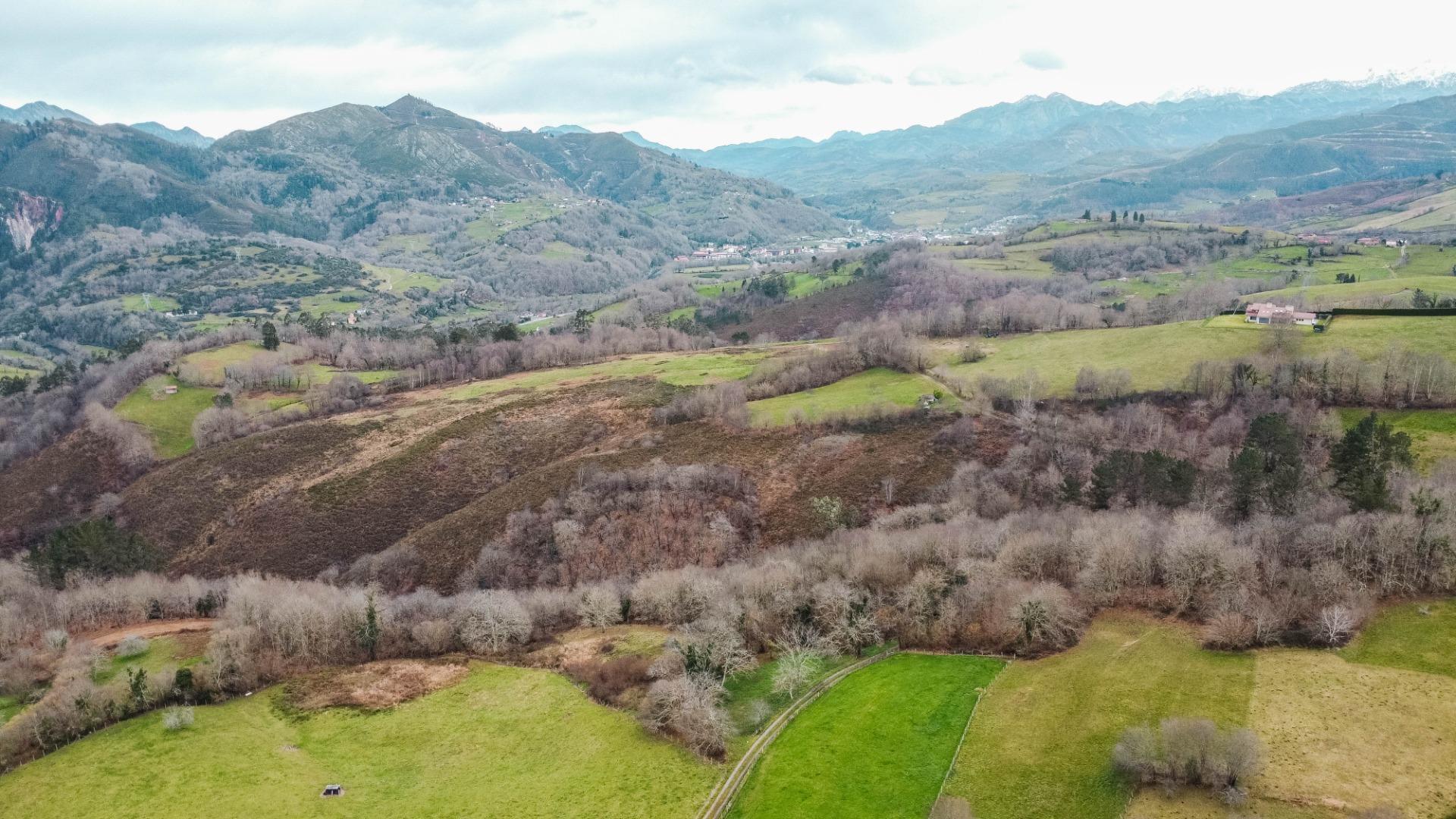 Fincas y solares-Venta-Parres-2152225-Foto-9