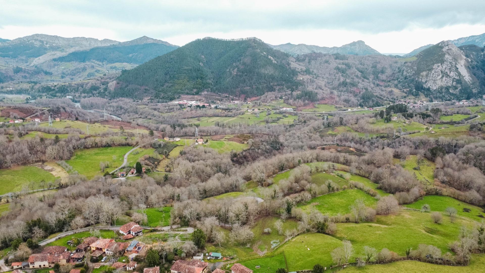 Fincas y solares-Venta-Parres-2152225-Foto-11