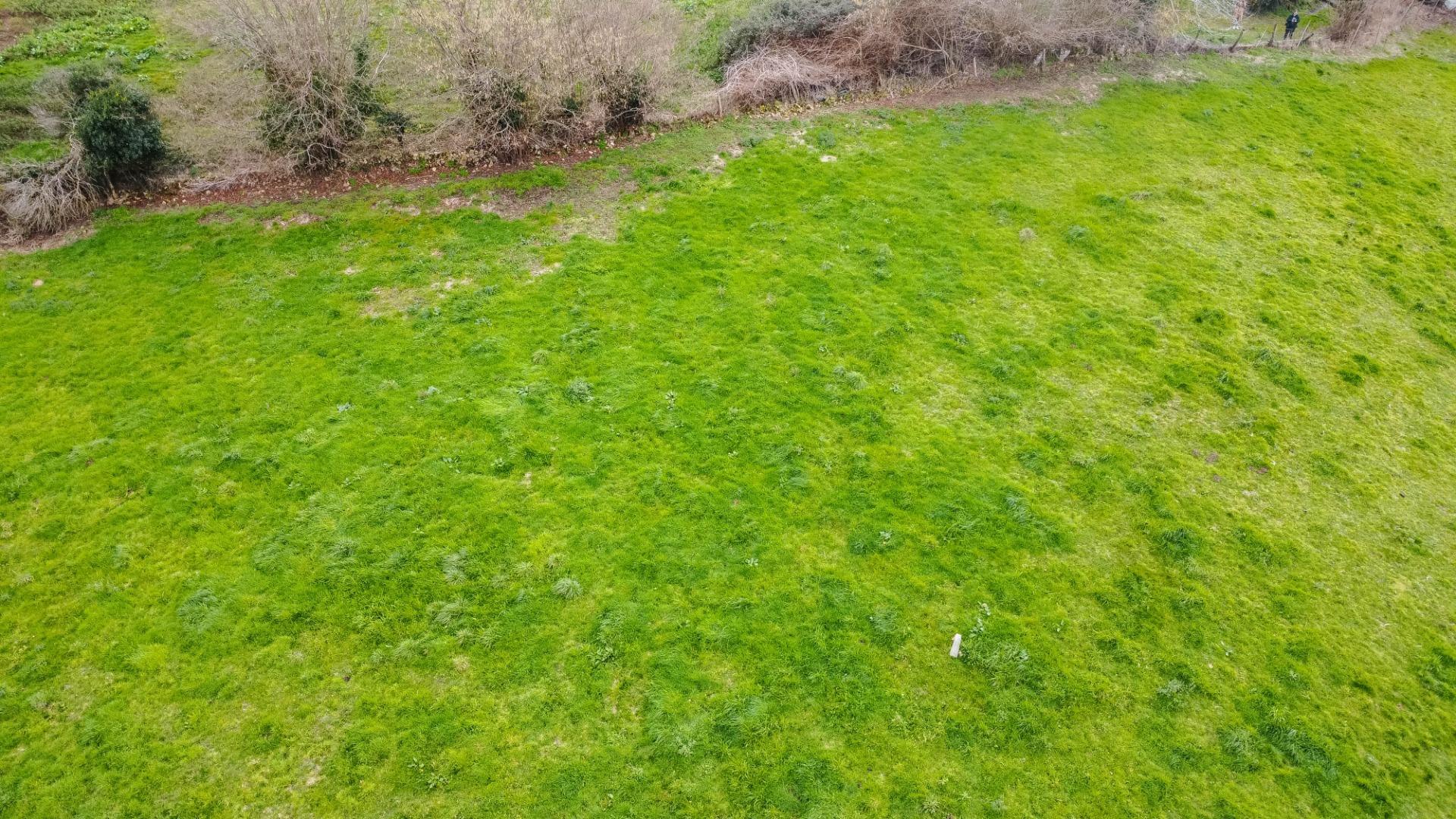 Fincas y solares-Venta-Parres-2152225-Foto-18