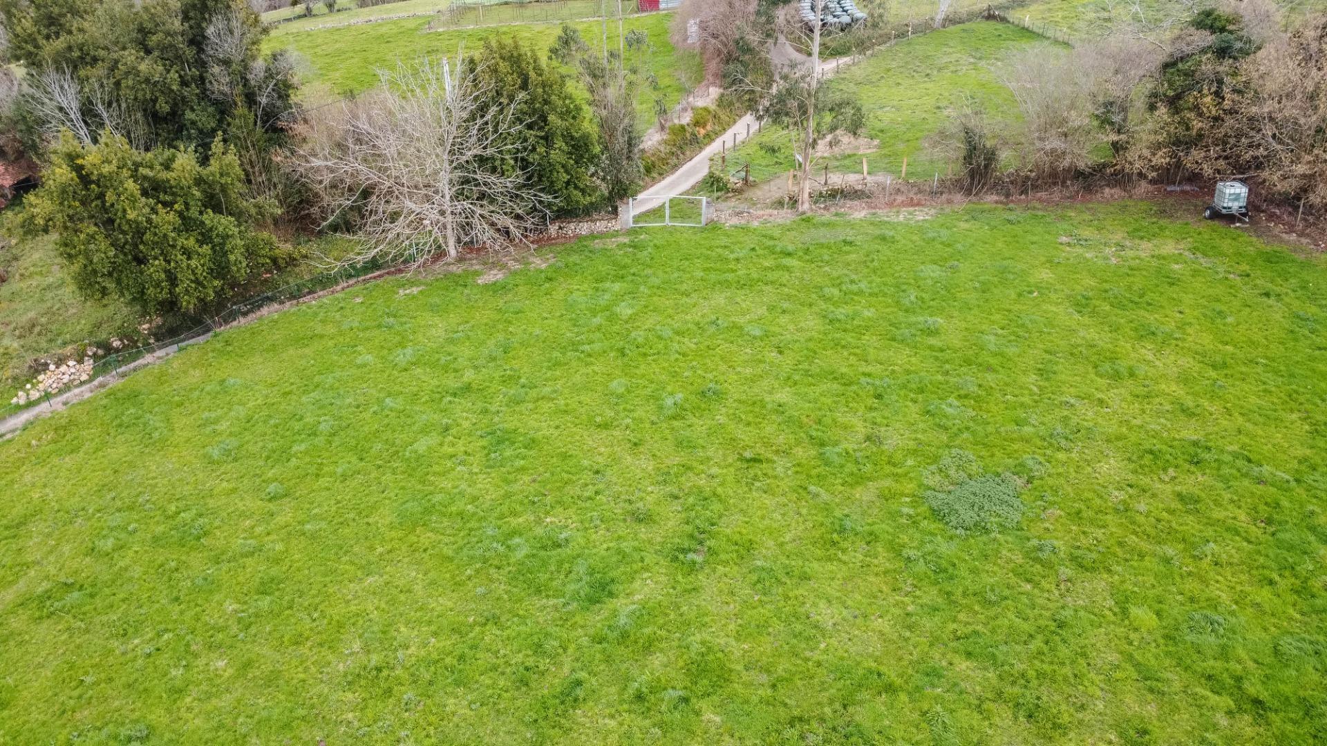 Fincas y solares-Venta-Parres-2152225-Foto-20