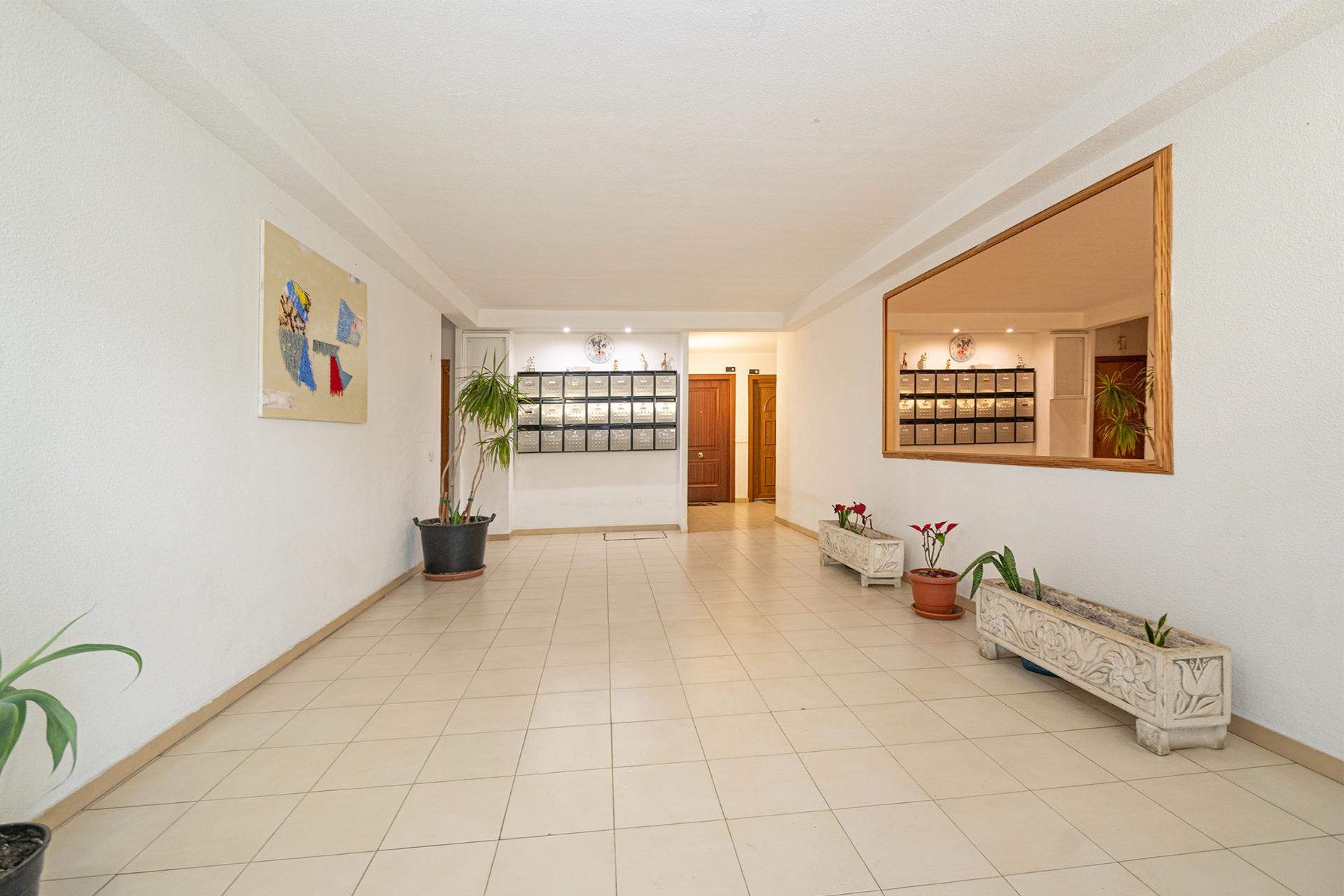 Pisos-Venta-Palma de Mallorca-2152243-Foto-20