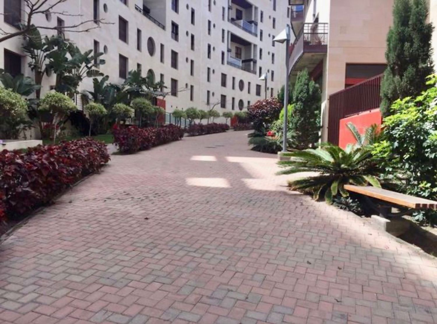 Pisos-Venta-Las Palmas de Gran Canaria-2151753-Foto-27