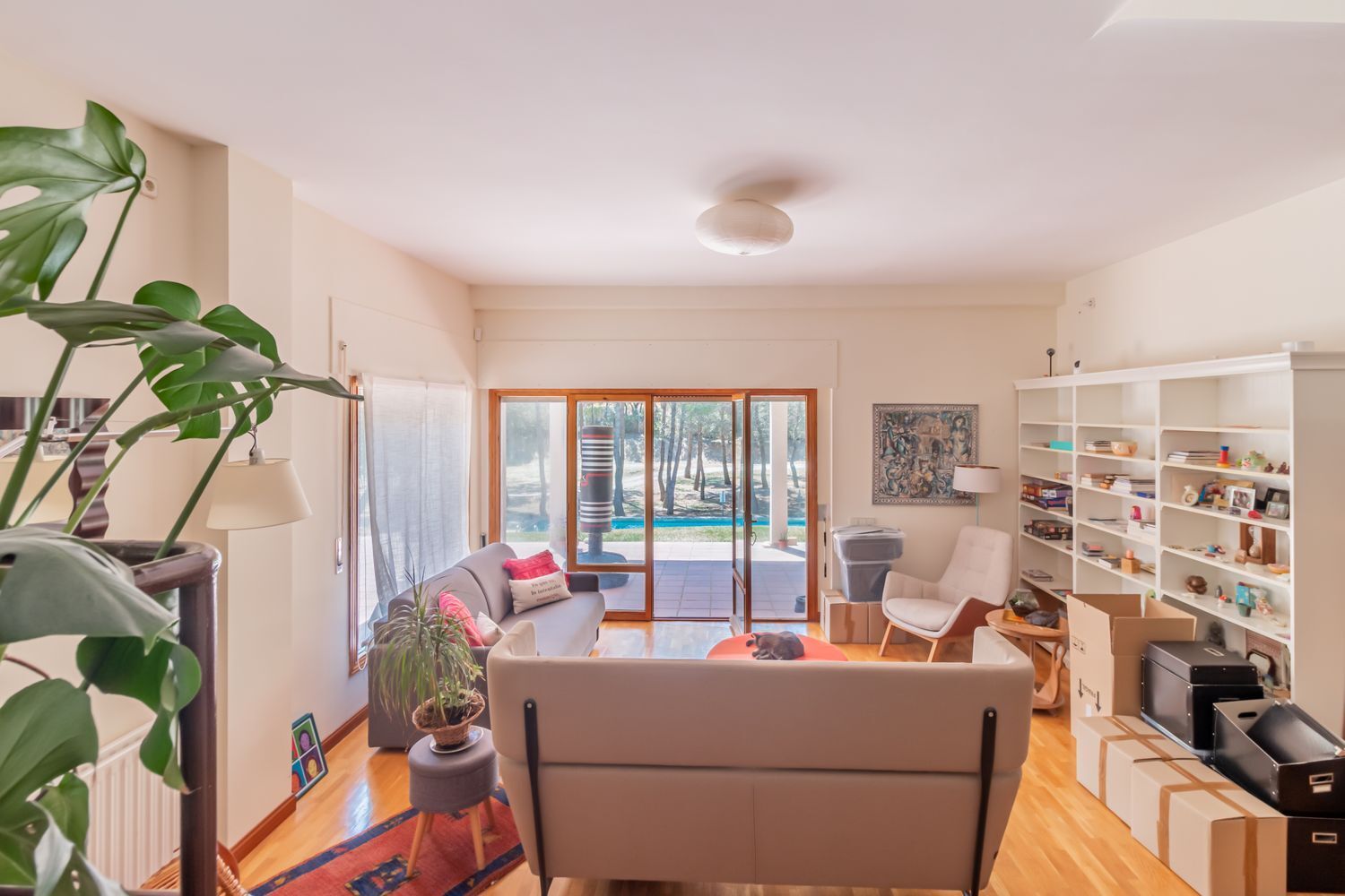 Casas o chalets-Venta-San AgustÃ­n del Guadalix-1791707-Foto-4