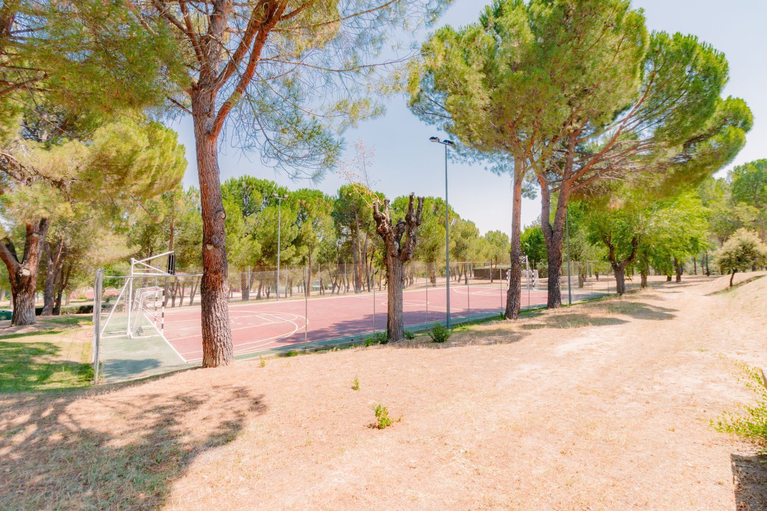 Casas o chalets-Venta-San AgustÃ­n del Guadalix-1791707-Foto-29