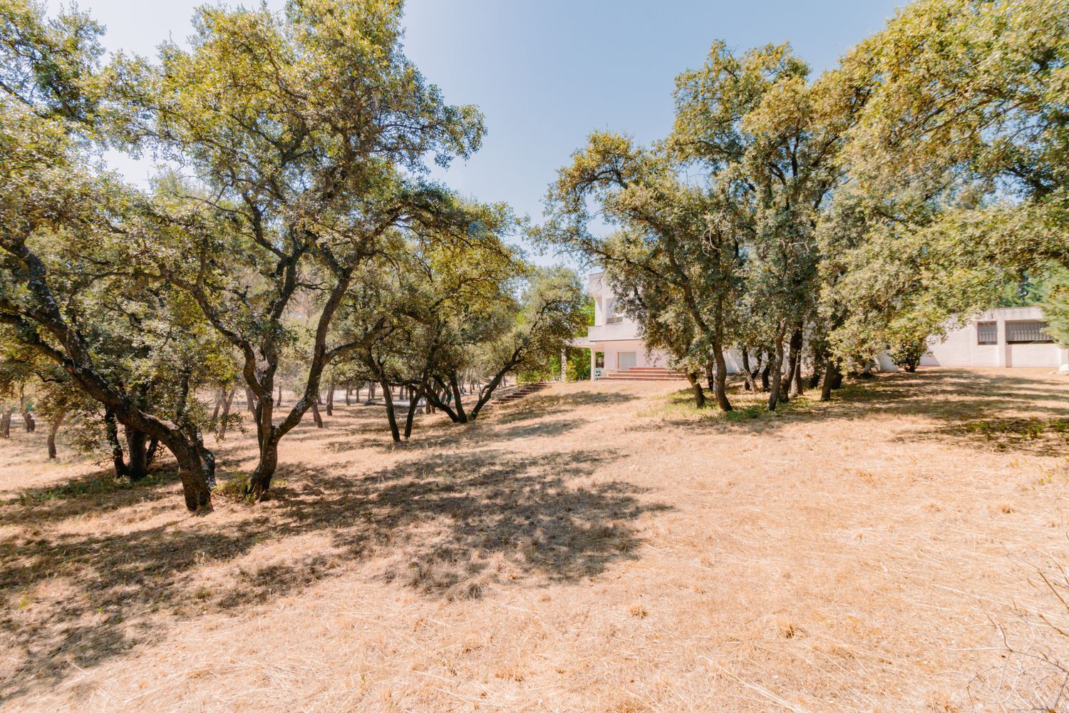 Casas o chalets-Venta-San AgustÃ­n del Guadalix-1791707-Foto-28