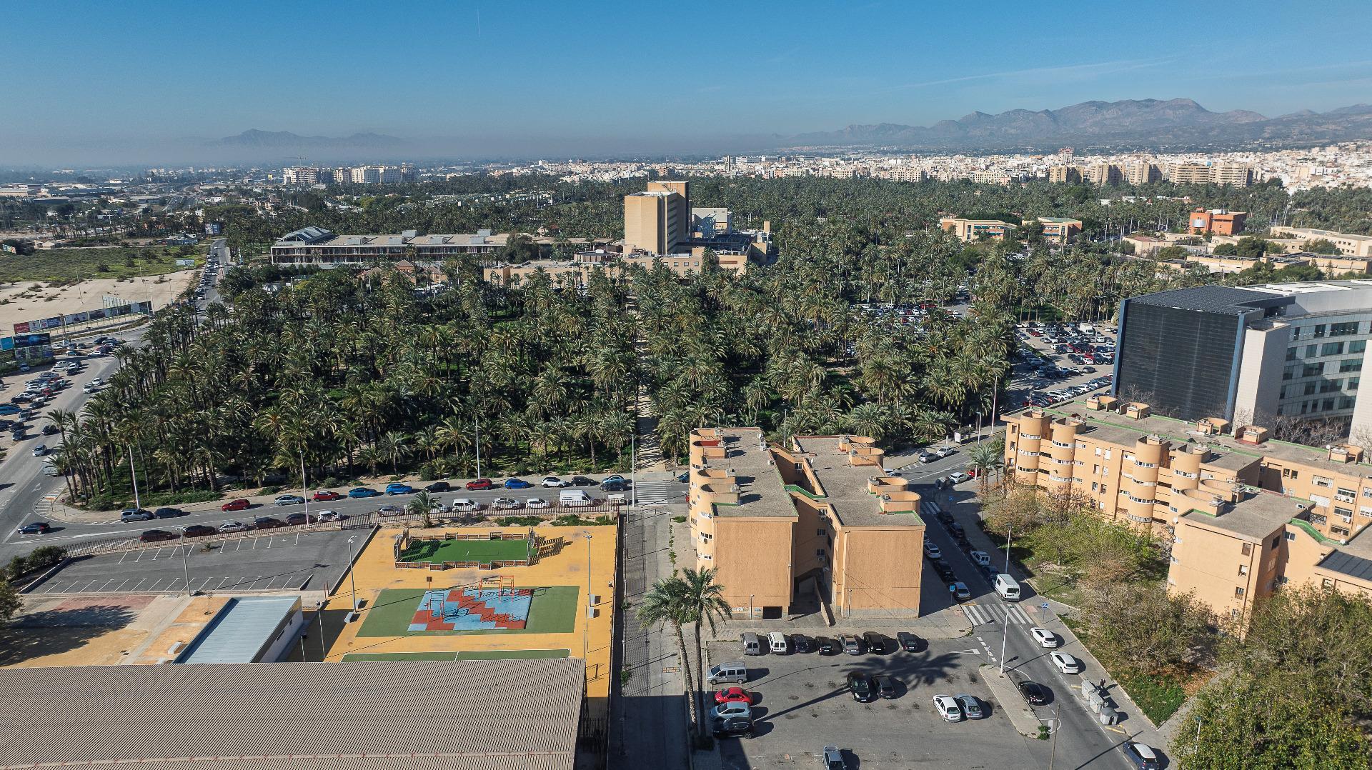 Pisos-Venta-Elche-2152240-Foto-22