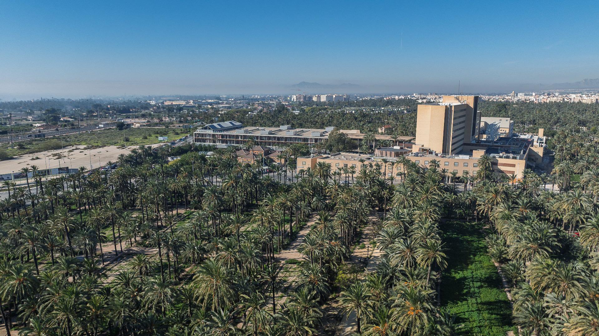 Pisos-Venta-Elche-2152240-Foto-26