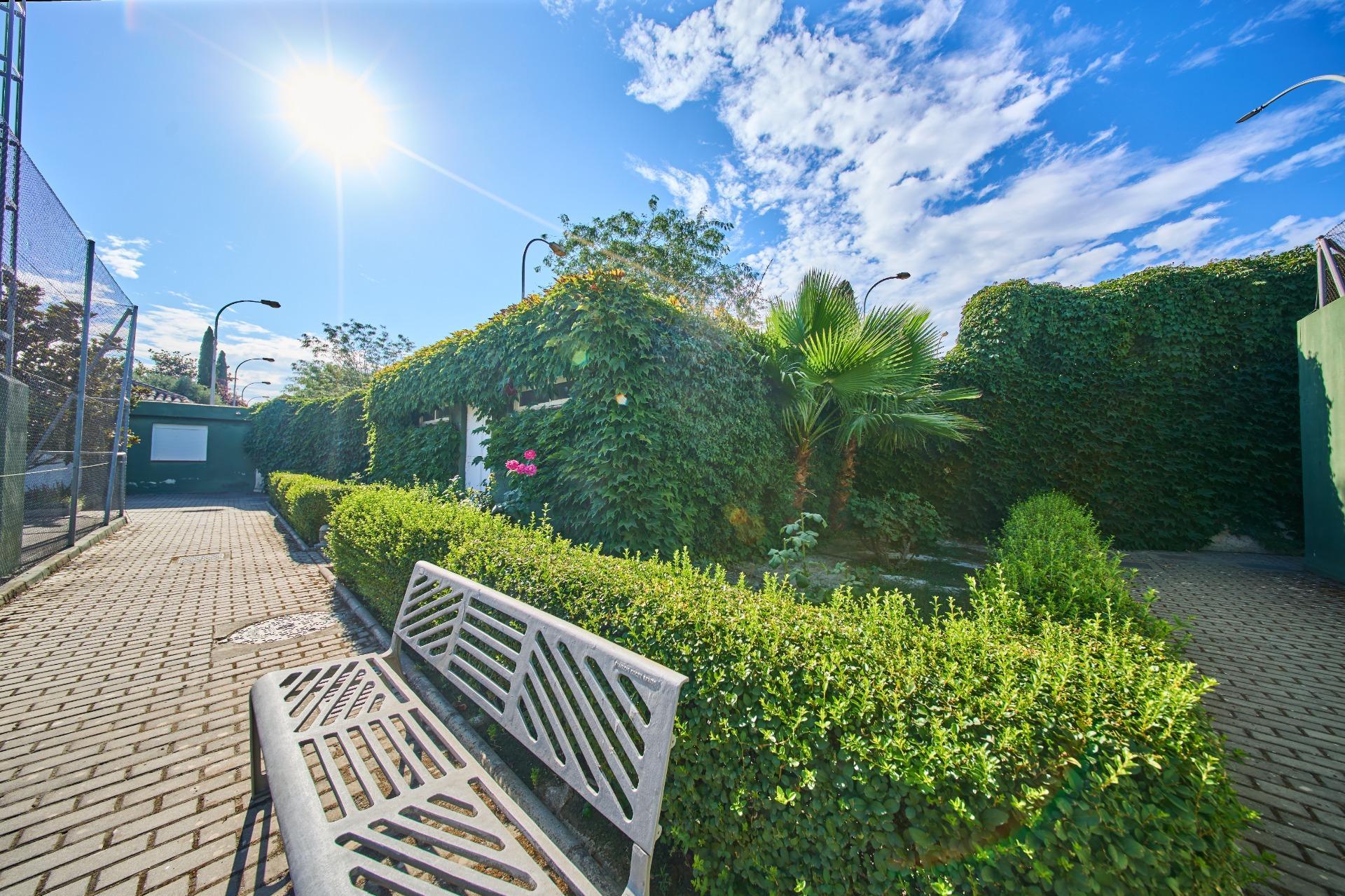 Fincas y solares-Venta-Vegas del Genil-2152258-Foto-11