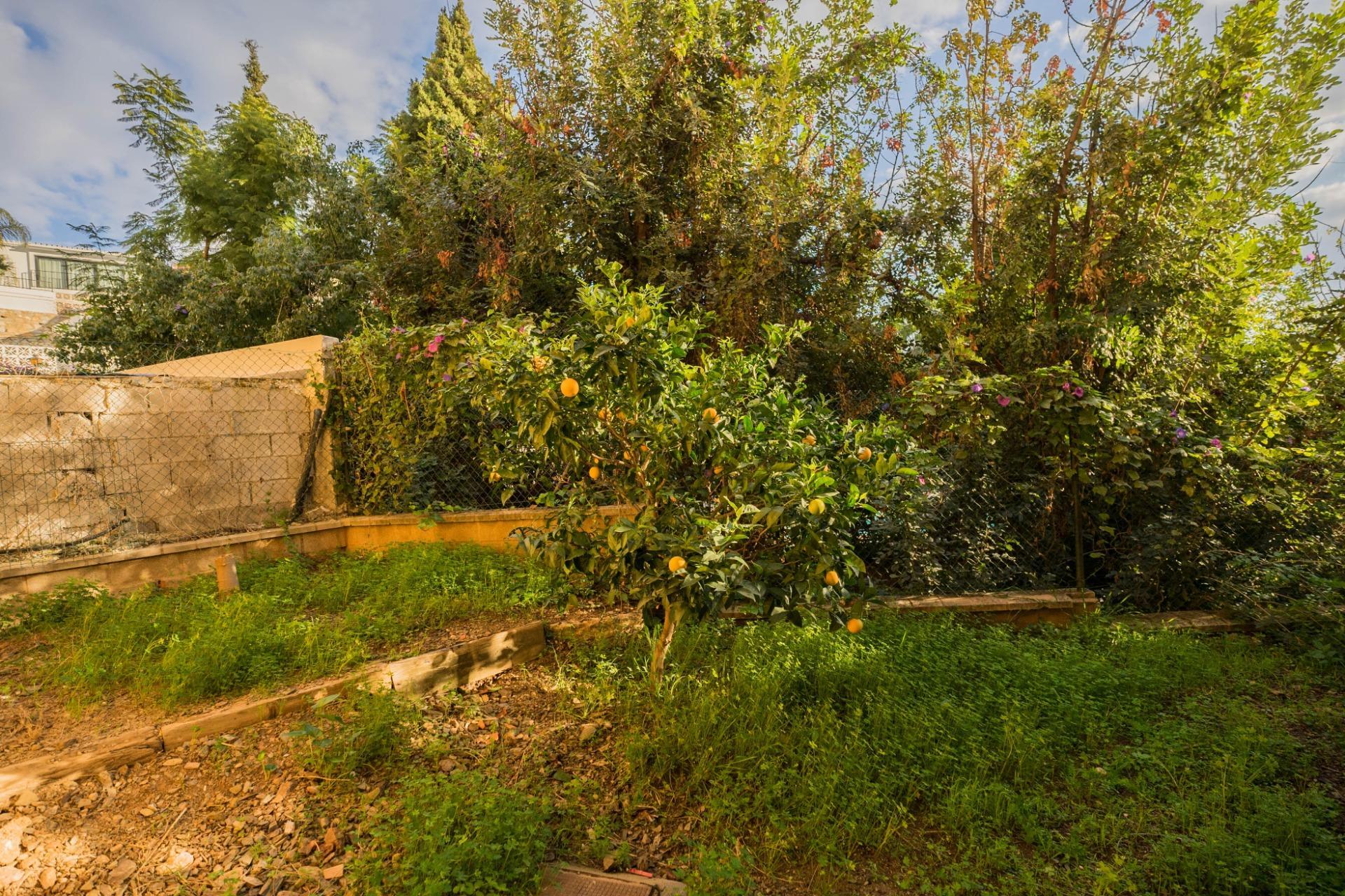 Casas o chalets-Venta-Fuengirola-2091854-Foto-40