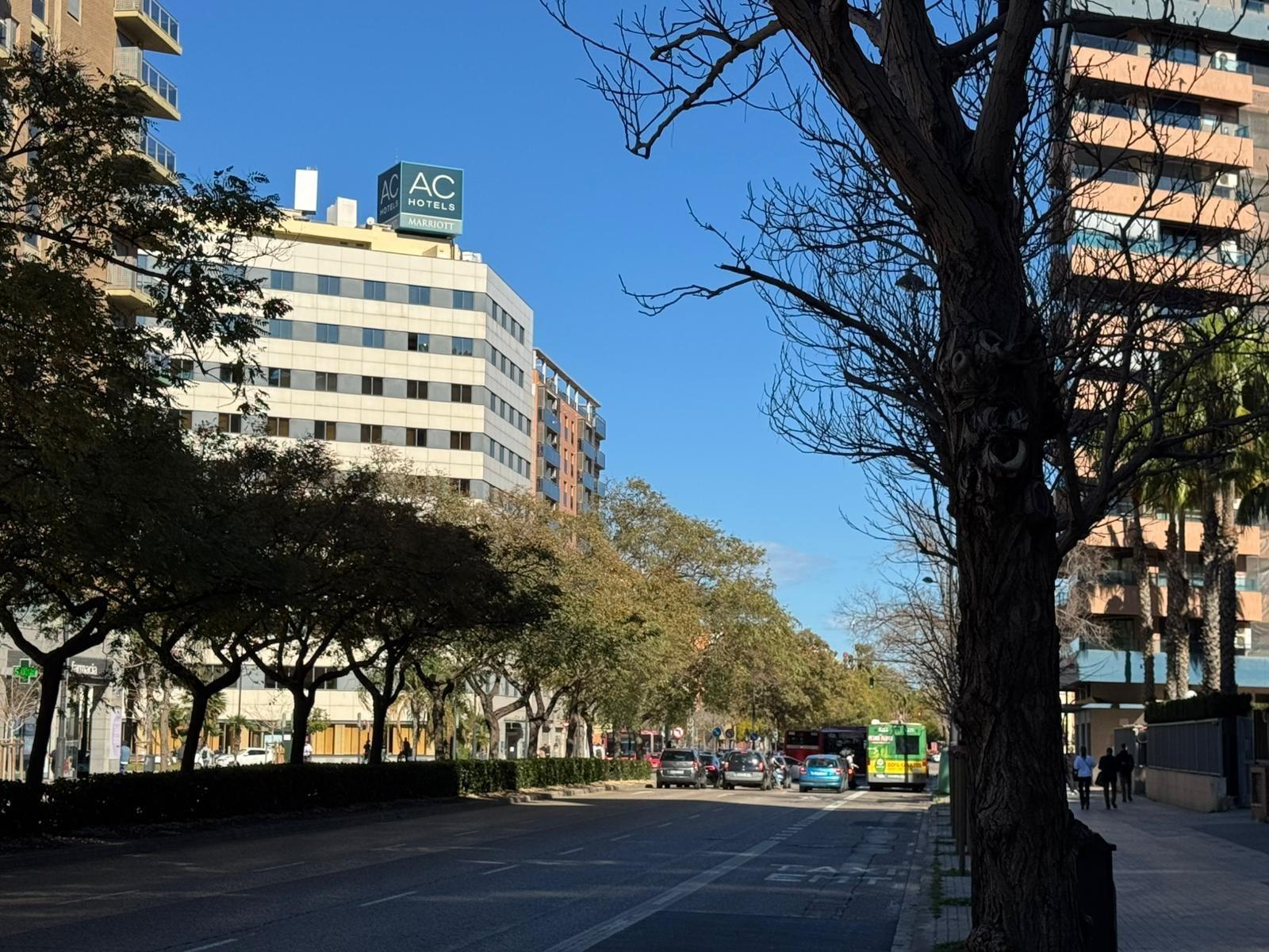 Negocios-Venta-Valencia-2152608-Foto-57