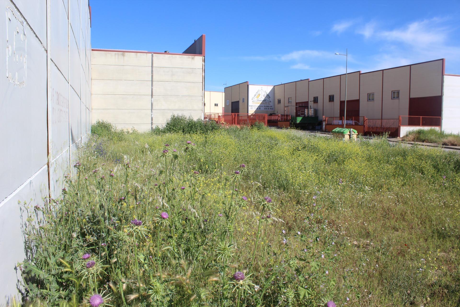 Fincas y solares-Venta-Escalonilla-1651071-Foto-2