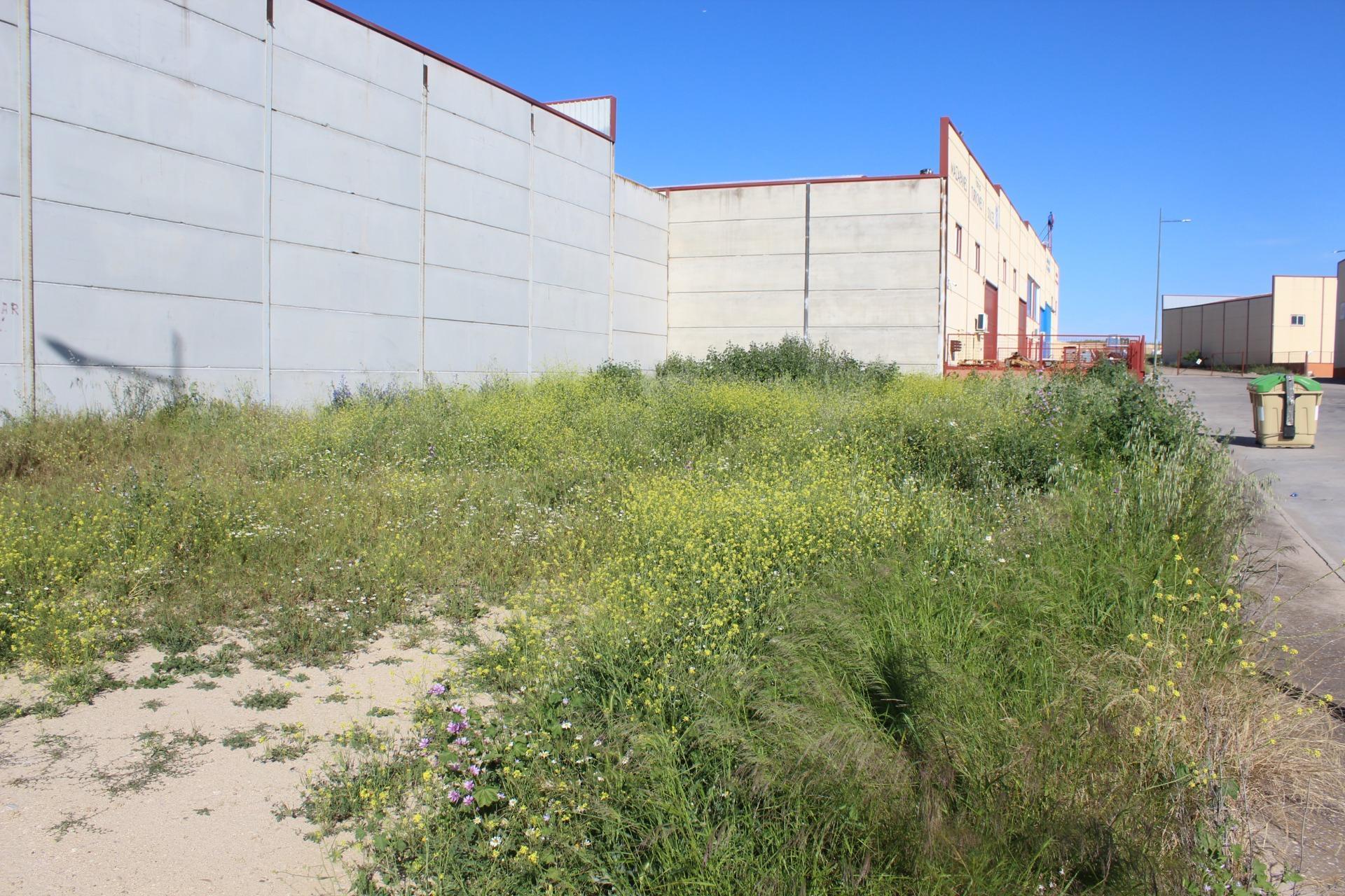 Fincas y solares-Venta-Escalonilla-1651071-Foto-7