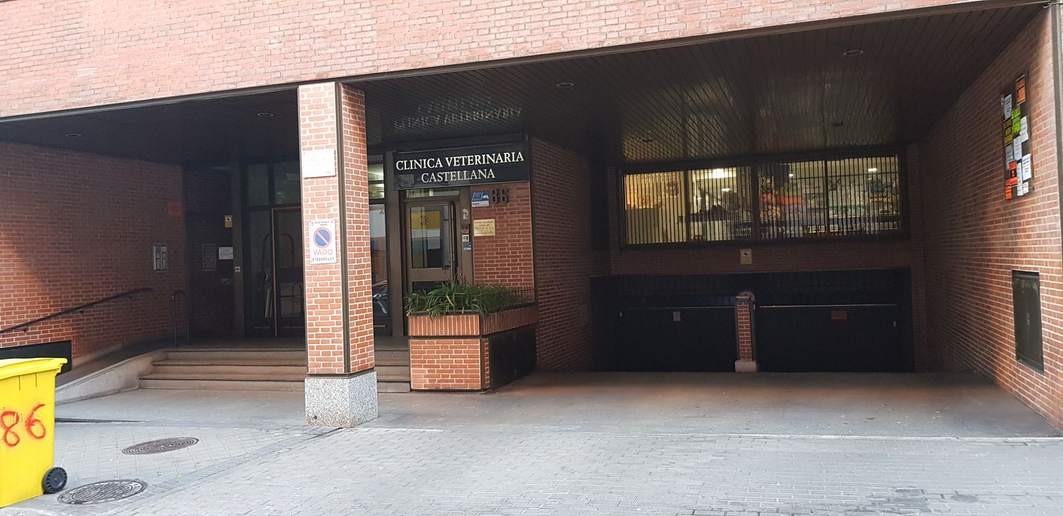 Garajes-Venta-Madrid-894086-Foto-2