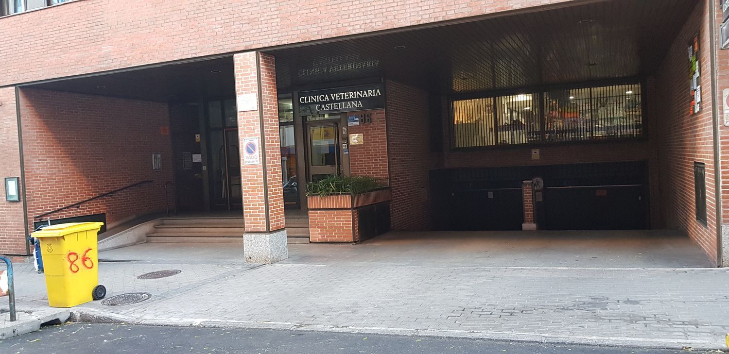 Garajes-Venta-Madrid-894086-Foto-11