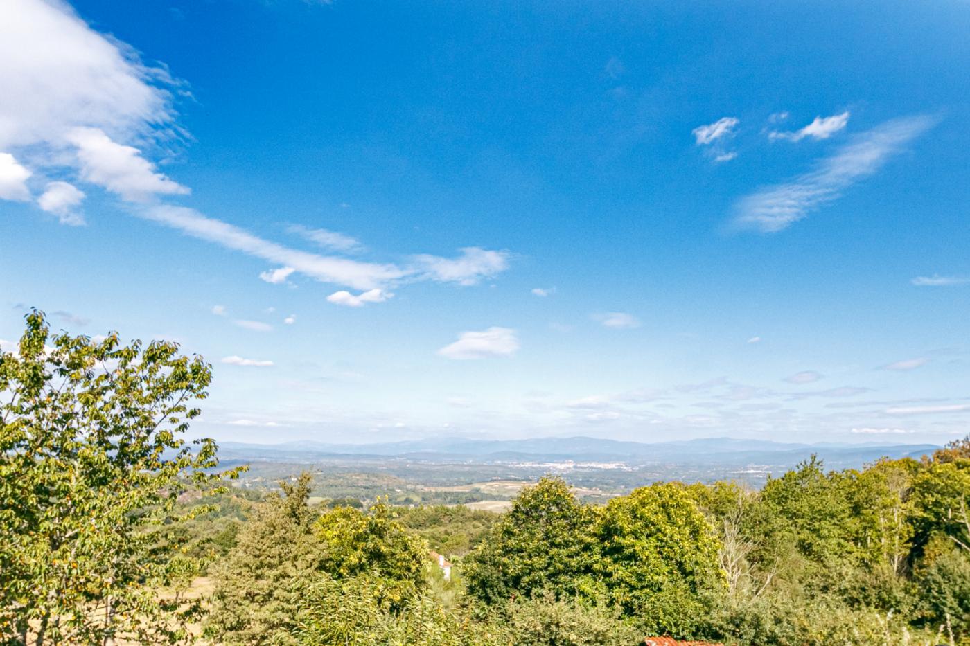 Casas o chalets-Venta-PantÃ³n-1022781-Foto-19