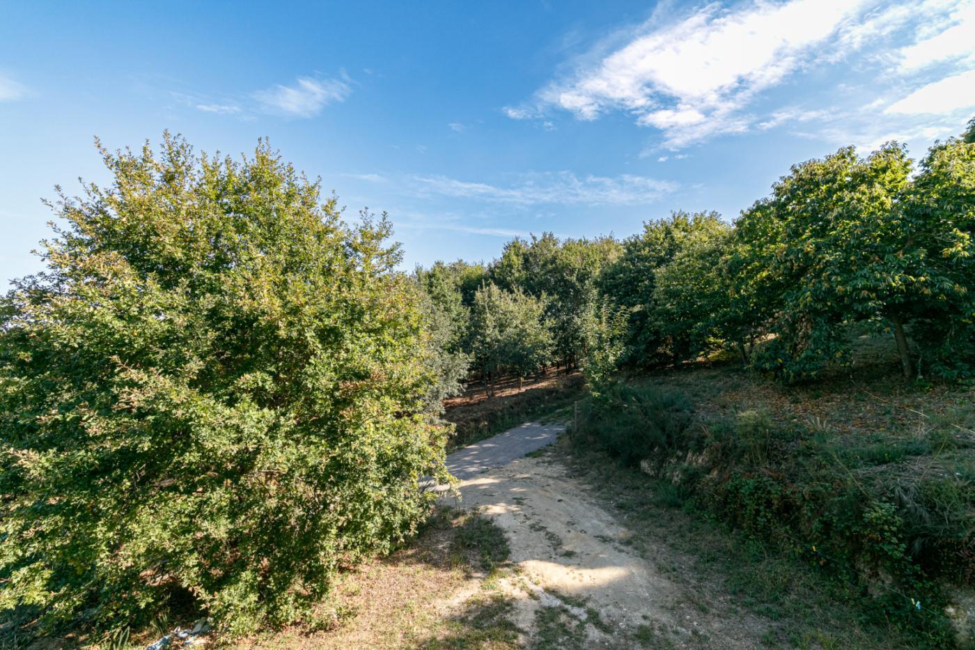 Casas o chalets-Venta-PantÃ³n-1022781-Foto-21