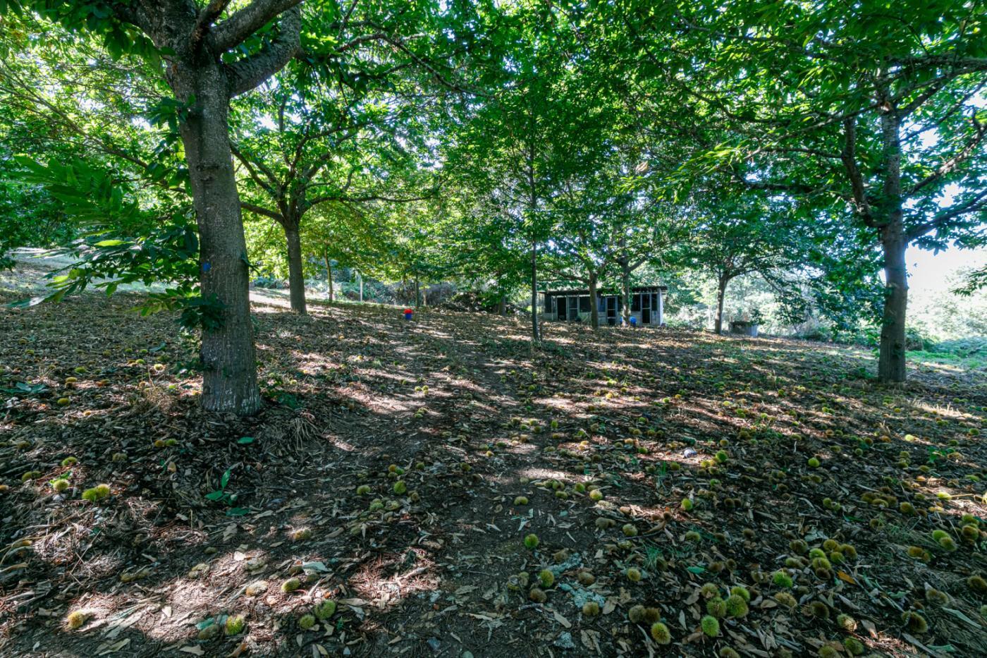 Casas o chalets-Venta-PantÃ³n-1022781-Foto-24