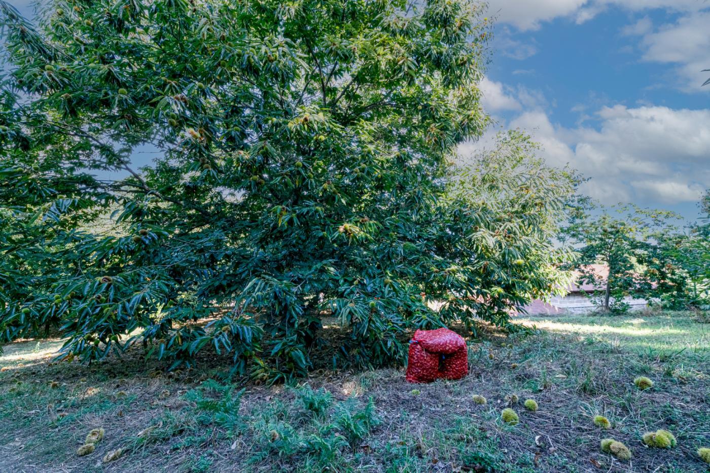 Casas o chalets-Venta-PantÃ³n-1022781-Foto-25