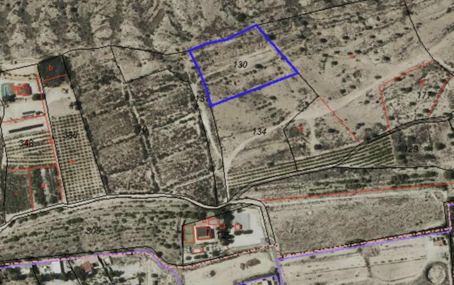 Fincas y solares-Venta-Elche-1728162-Foto-3