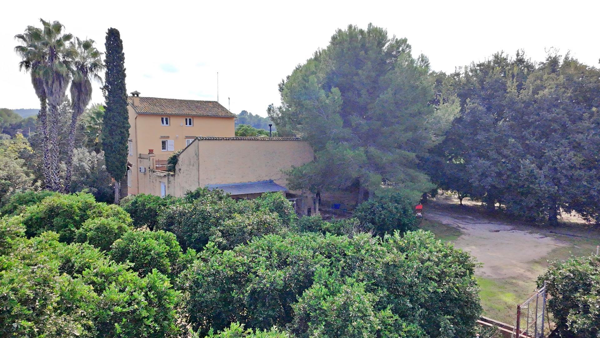 Pisos-Venta-Carcaixent-1751849-Foto-16