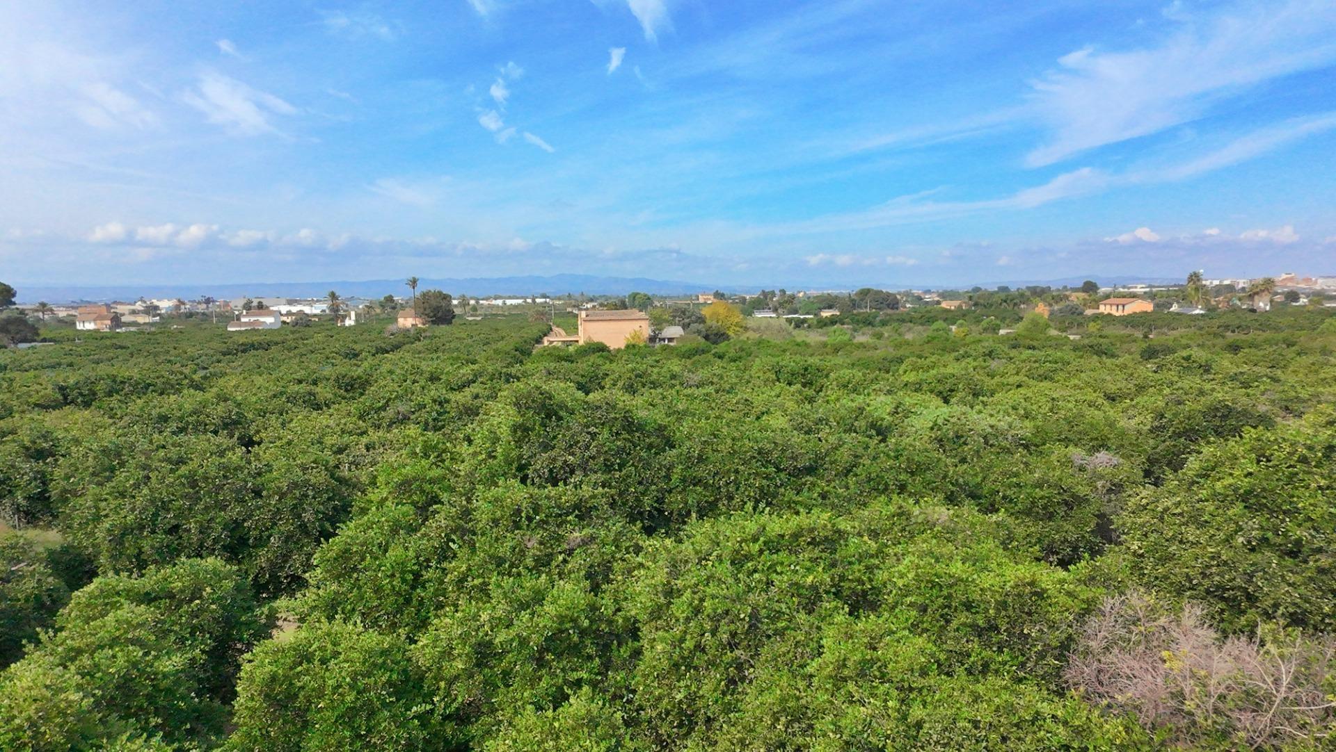 Pisos-Venta-Carcaixent-1751849-Foto-17