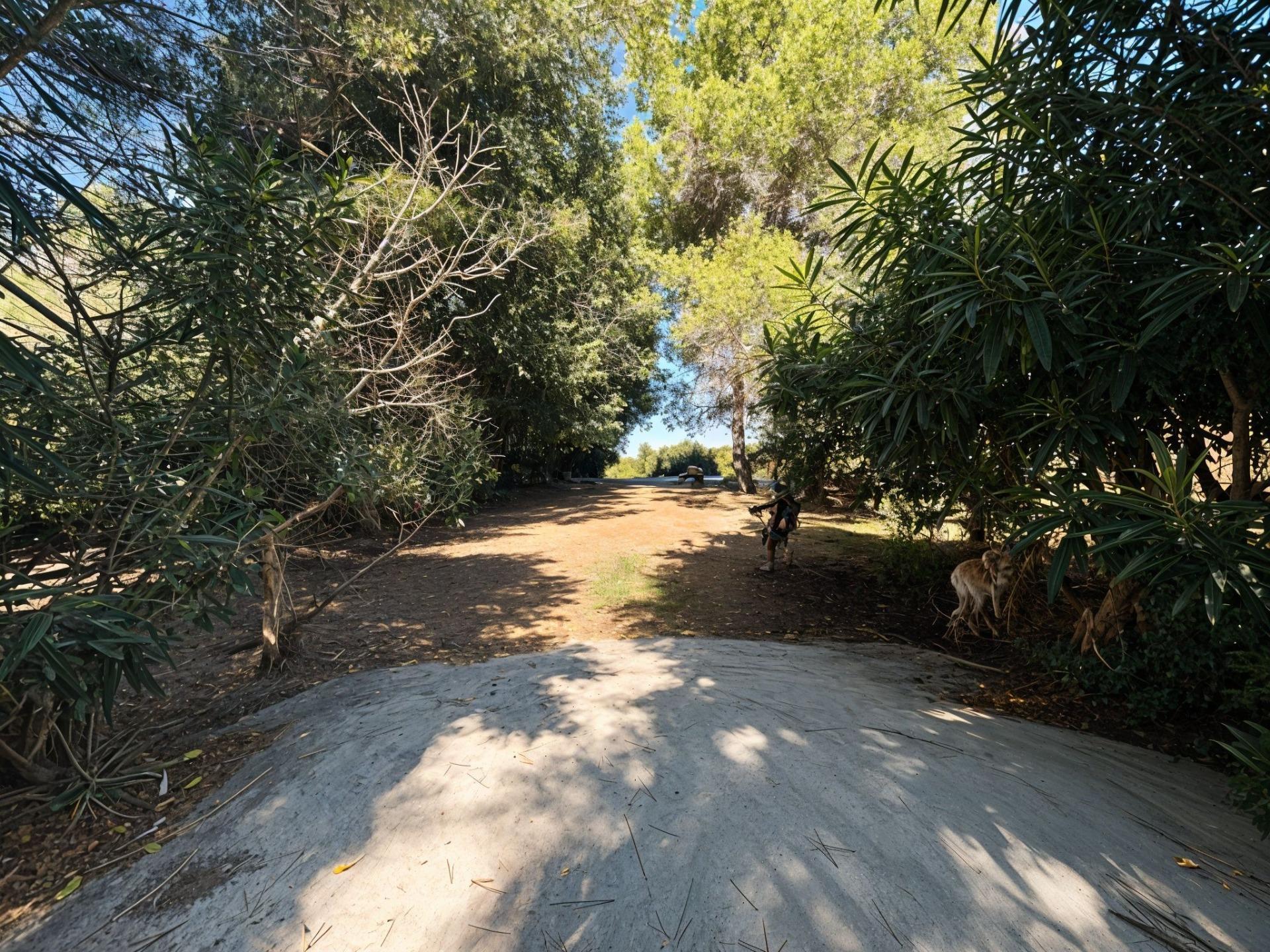 Pisos-Venta-Carcaixent-1751849-Foto-79