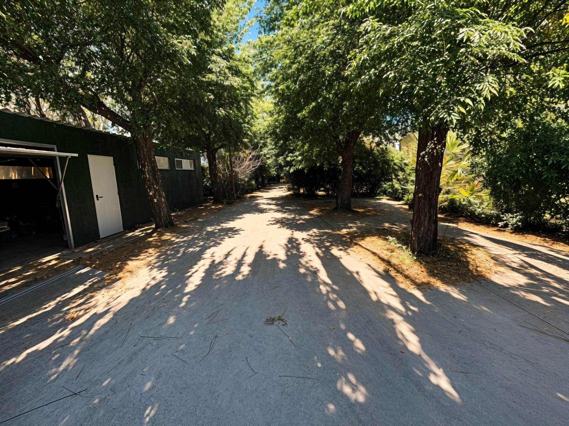 Pisos-Venta-Carcaixent-1751849-Foto-78