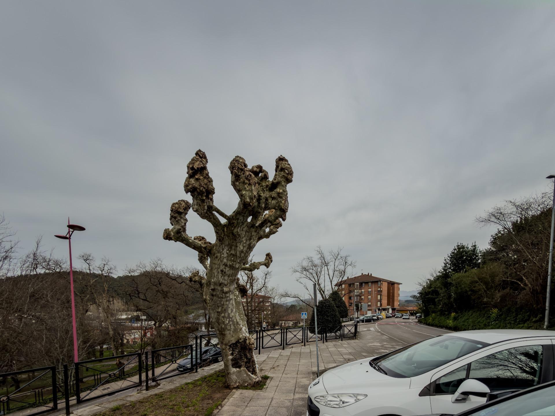 Pisos-Venta-Medio Cudeyo-2150807-Foto-28