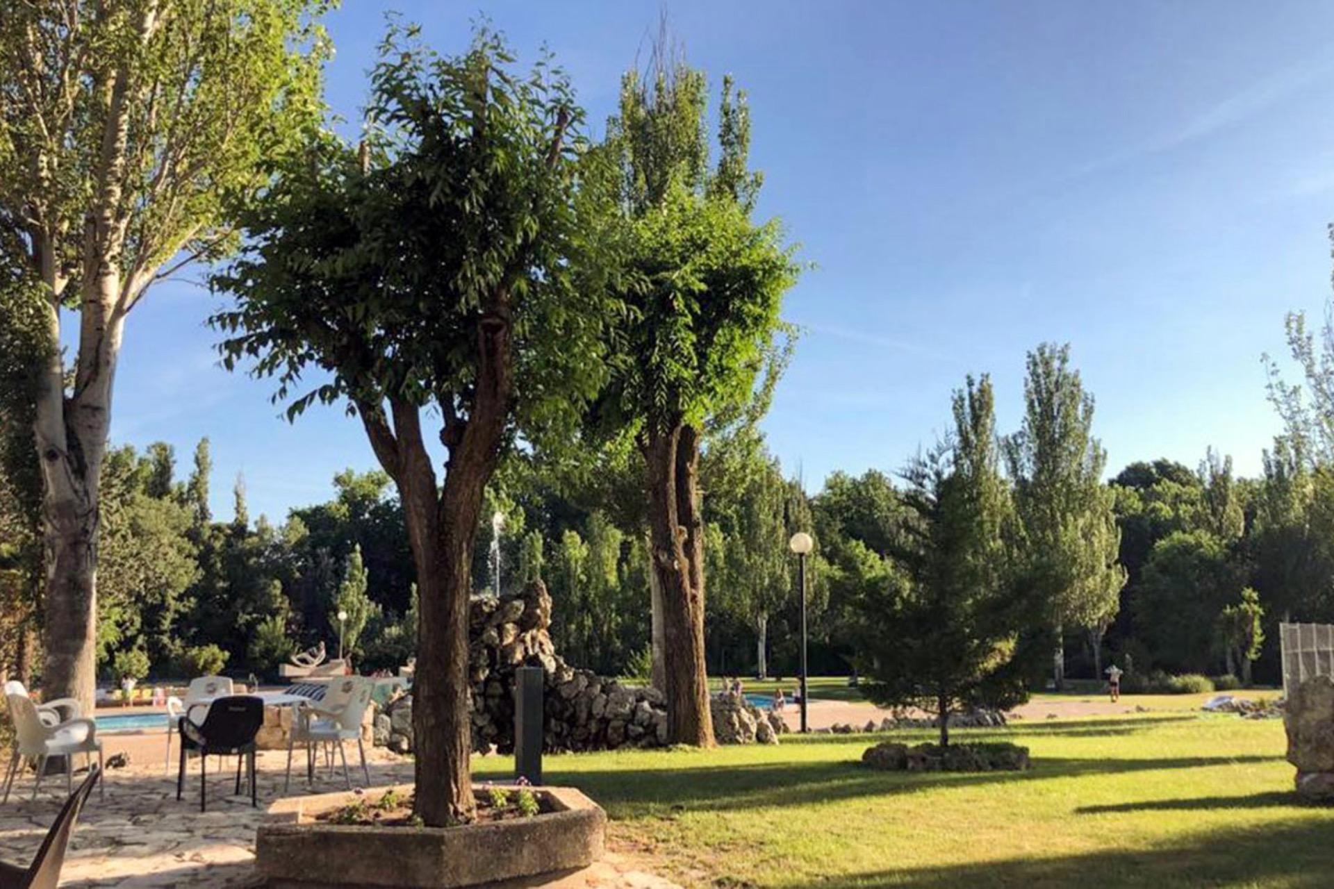 Casas o chalets-Venta-Mojados-2152671-Foto-6