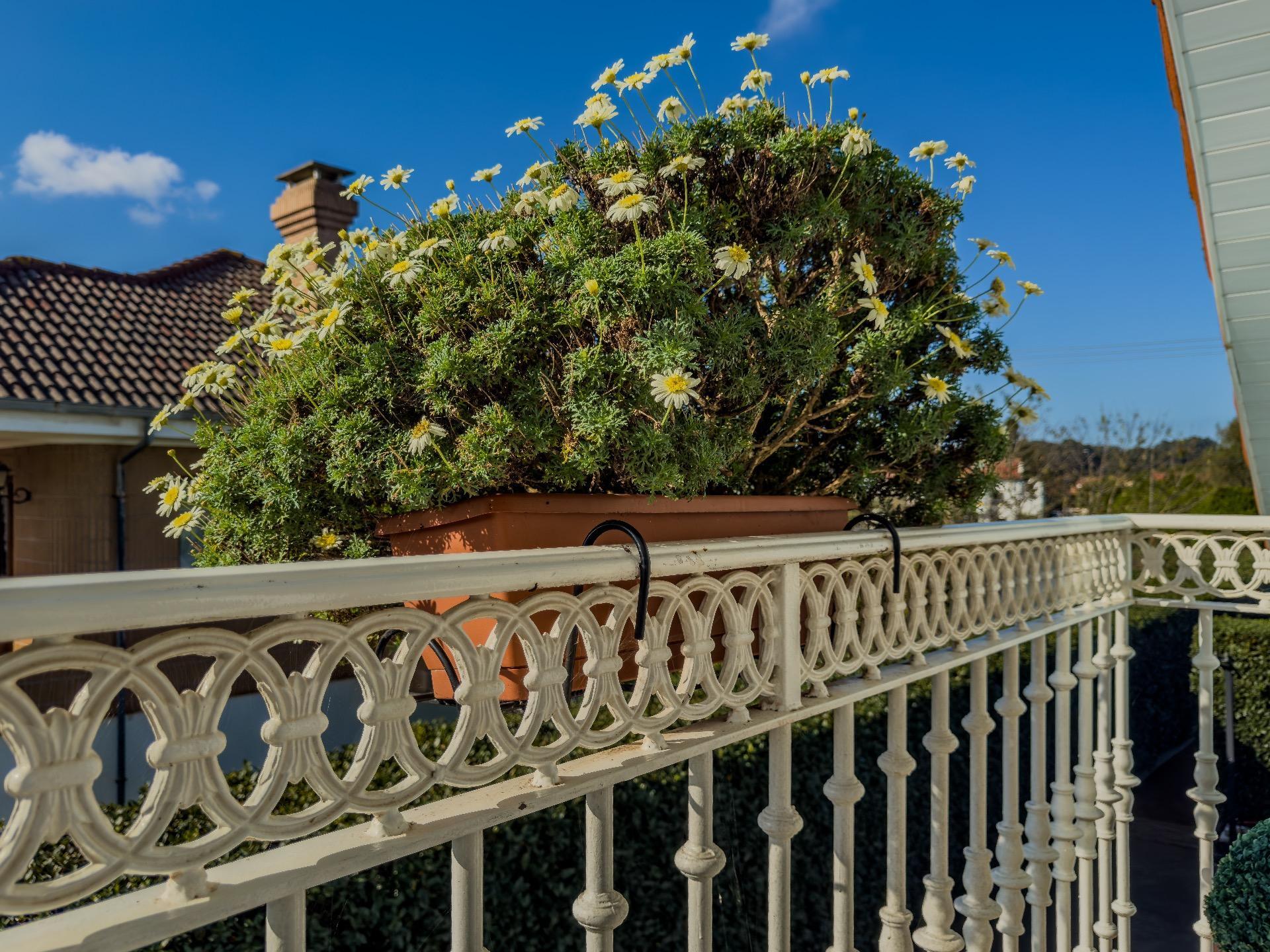 Casas o chalets-Venta-Camargo-1887292-Foto-67