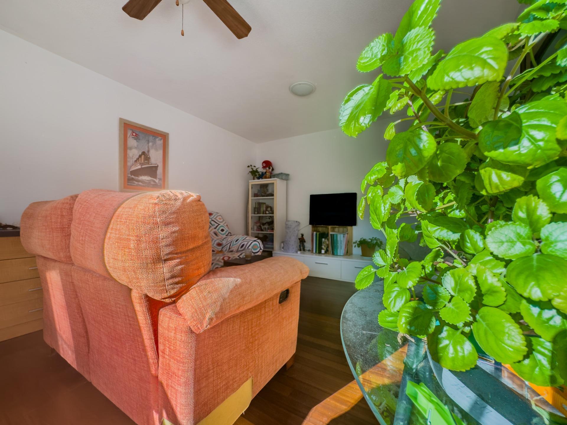 Pisos-Venta-Entrambasaguas-1885357-Foto-6